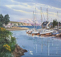 Summer Harbour Abersoch Thumbnail